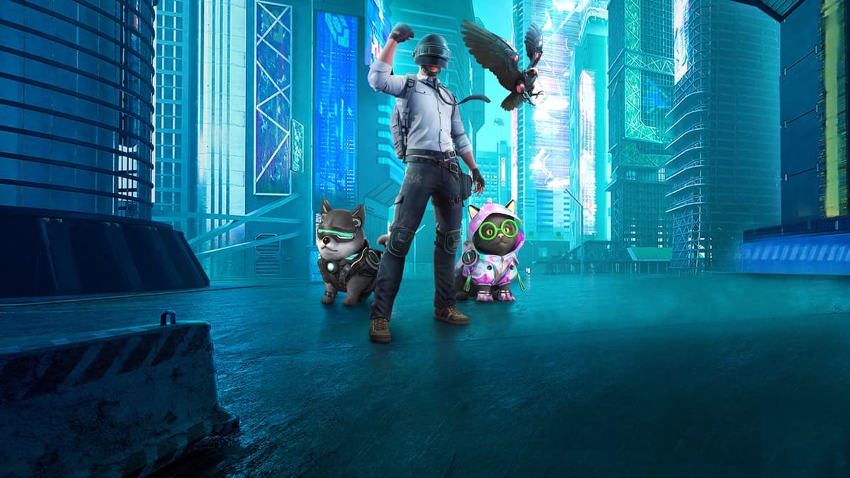 New Original Buddy Sets Available Now!