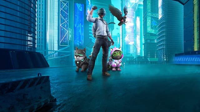 New Original Buddy Sets Available Now!