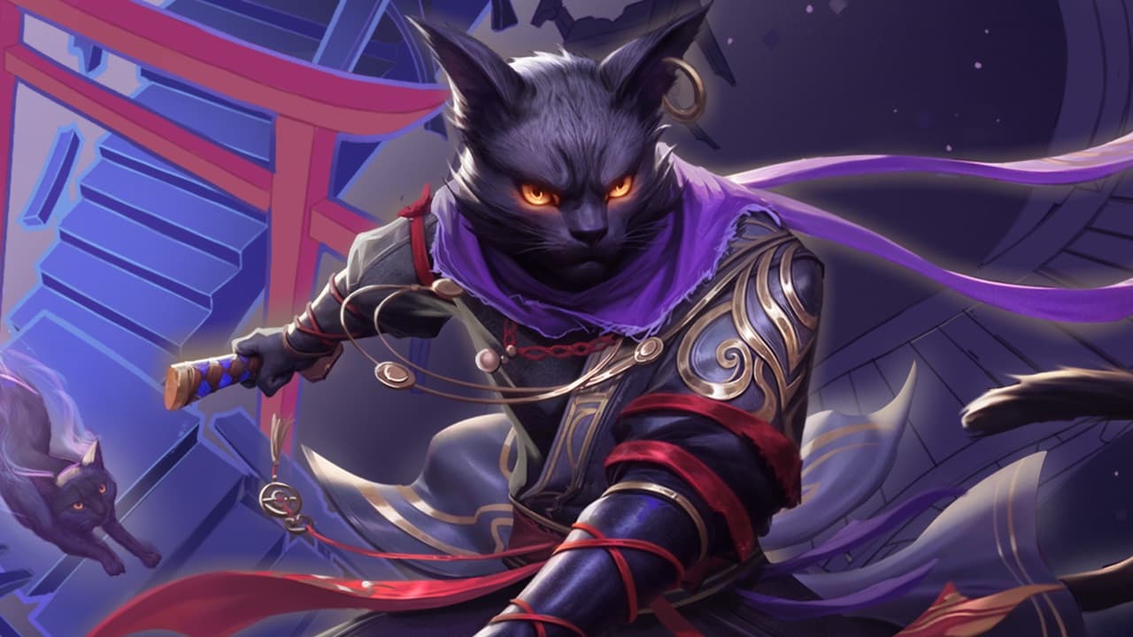 Noir Feline's Journey