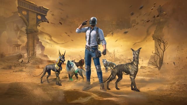 Original Wolf Buddy & New Set Available Now!